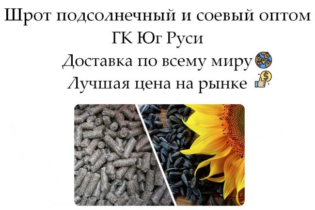 Шрот подсолнечный и соевый оптом от ГК Юг Руси Шрот подсолнечный и соевый оптом от ГК Юг Руси