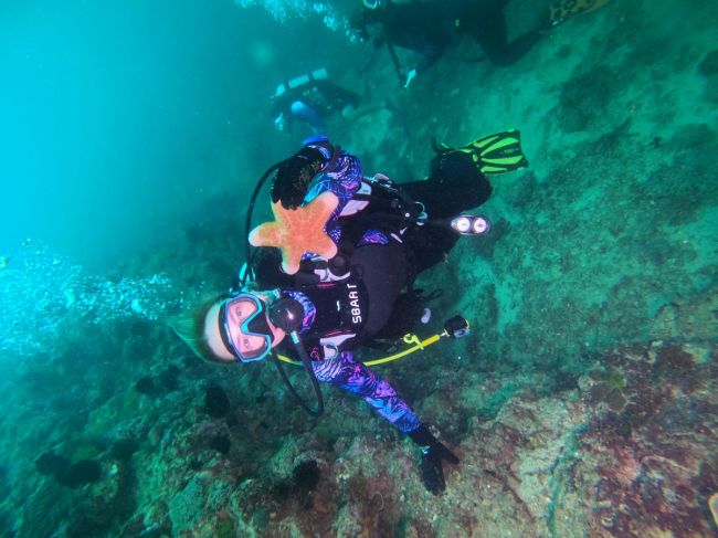 Курс дайвинга OWD Open Water Diver Тюмень